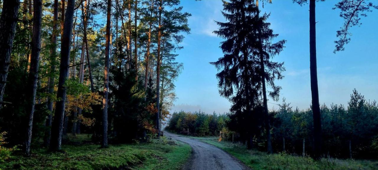 Domek Triftberg Хойна Екстер'єр фото