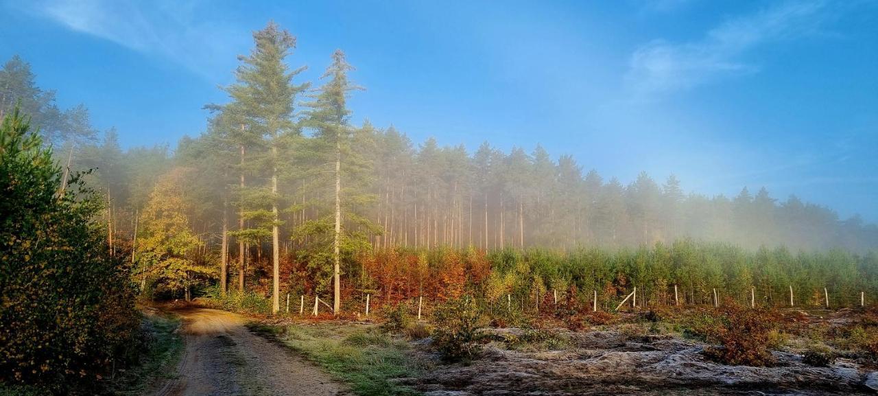 Domek Triftberg Хойна Екстер'єр фото