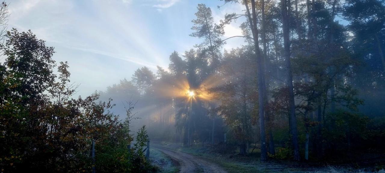 Domek Triftberg Хойна Екстер'єр фото
