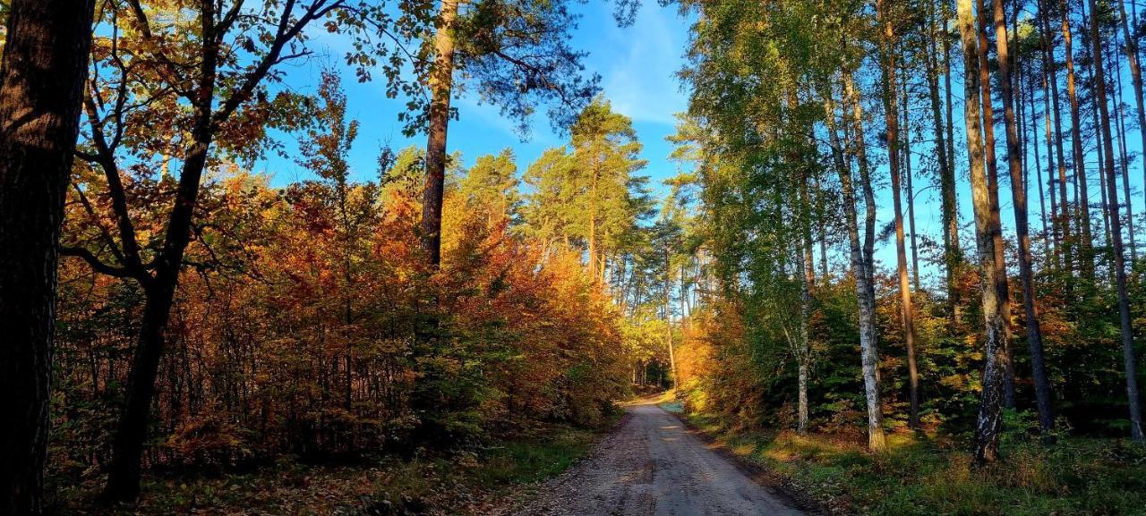 Вілла Domek Triftberg Хойна Екстер'єр фото