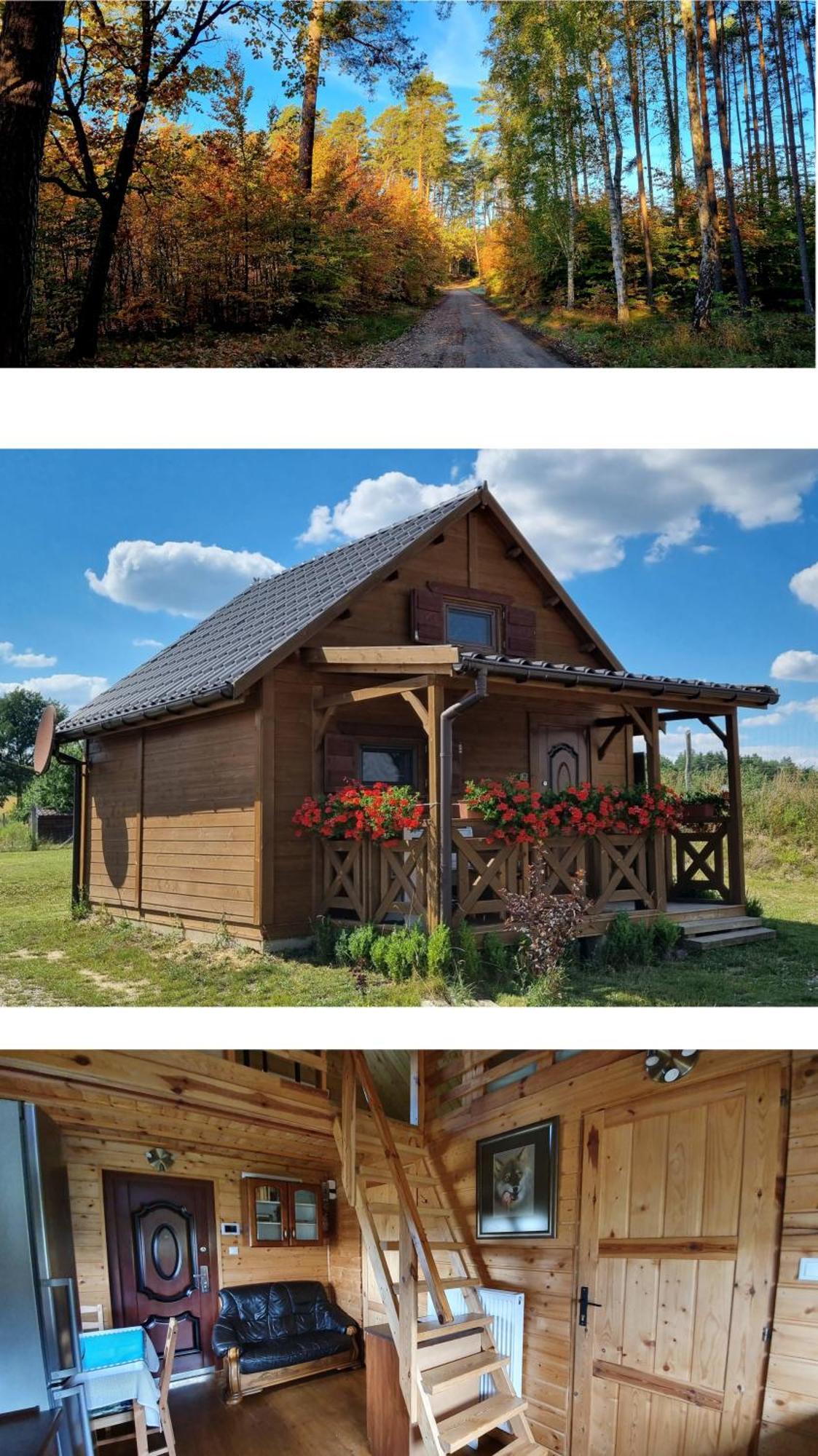 Domek Triftberg Хойна Екстер'єр фото